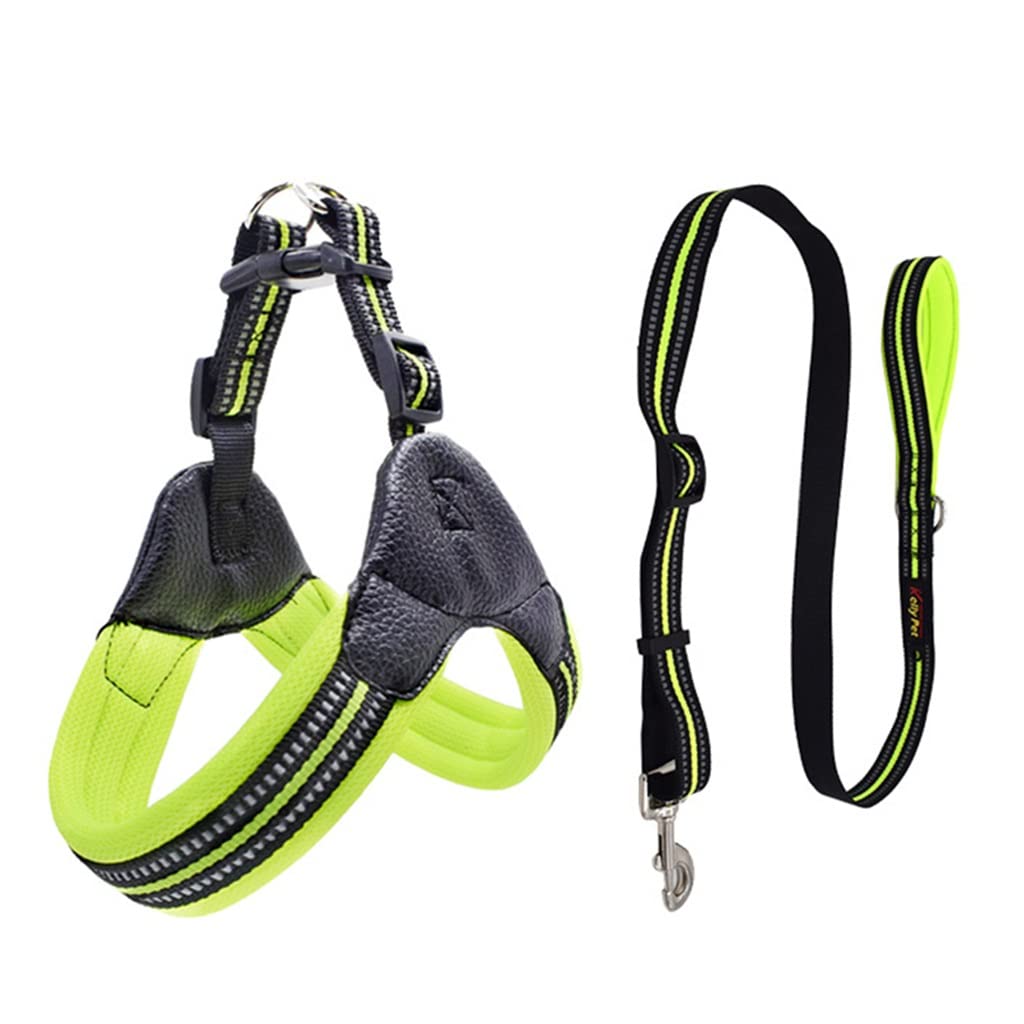 Breathable Nylon Mesh Dog Harness Adjustable Dog Harness and Leash Set Dog Accessories Pet Supplies (B L)