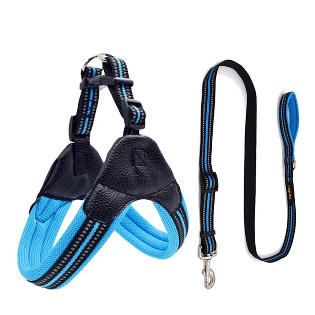 Breathable Nylon Mesh Dog Harness Adjustable Dog Harness and Leash Set Dog Accessories Pet Supplies (C XS)