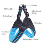 Breathable Nylon Mesh Dog Harness Adjustable Dog Harness and Leash Set Dog Accessories Pet Supplies (B L)