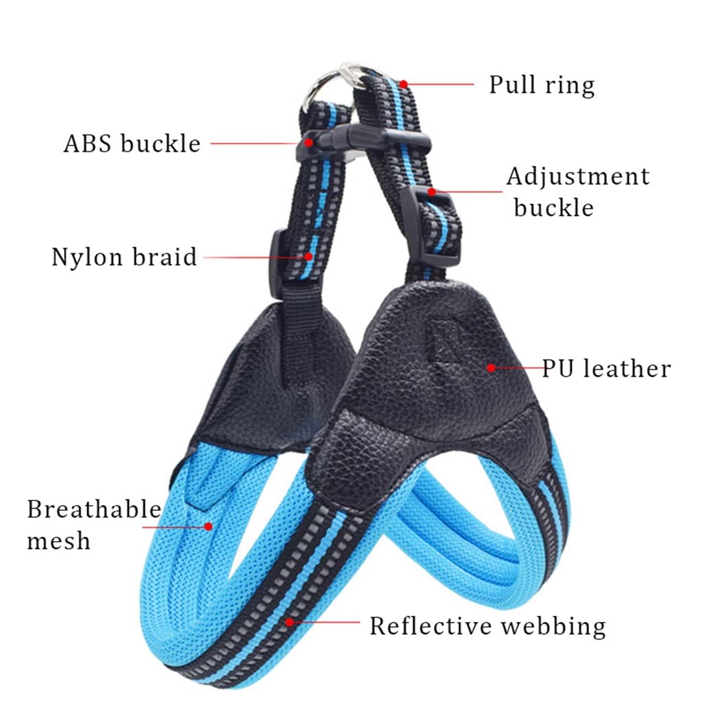 Breathable Nylon Mesh Dog Harness Adjustable Dog Harness and Leash Set Dog Accessories Pet Supplies (B L)