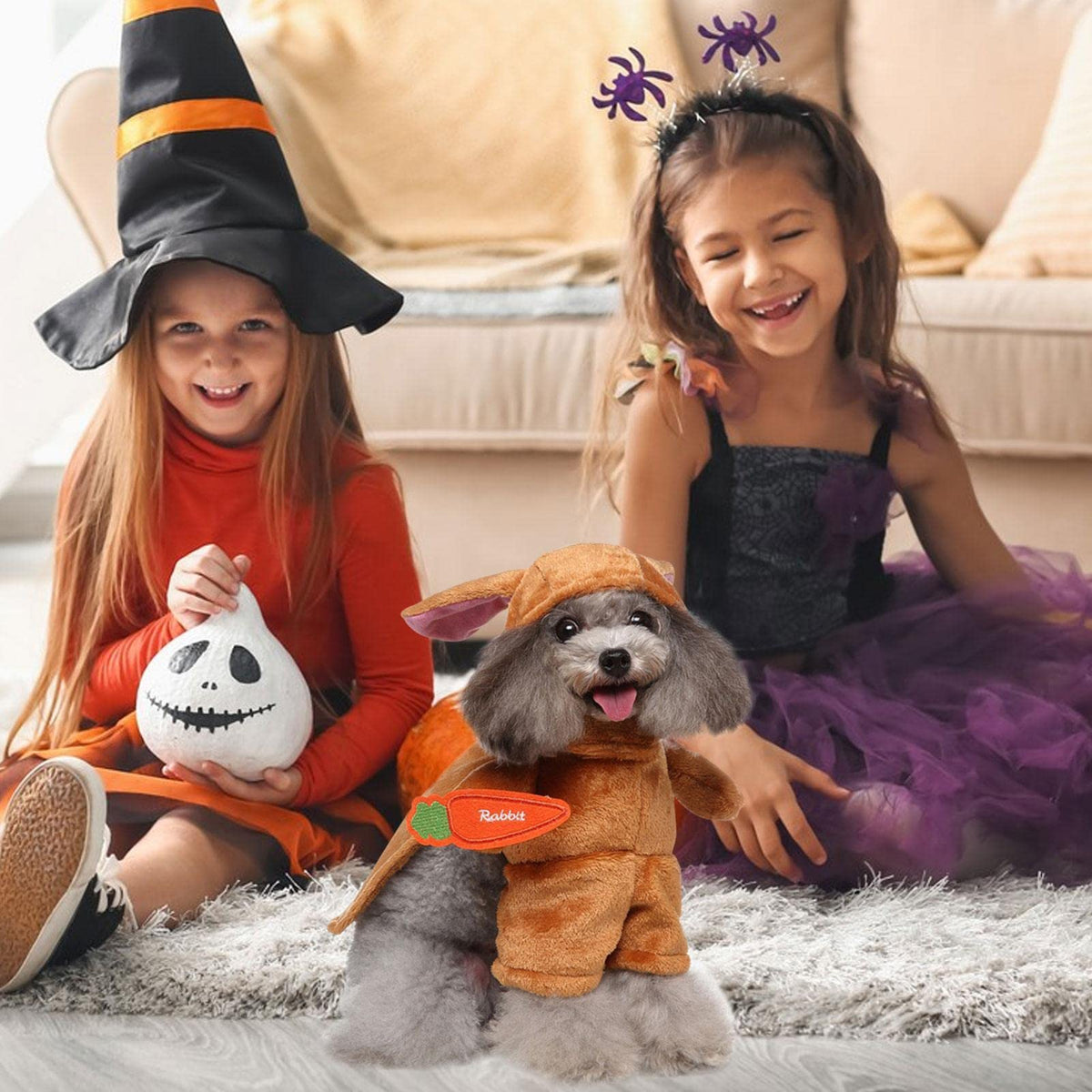 3 Pcs Cosplay Pet Cloth - Funny Dog Cat Puppy Pet Cloth,Durable Portative Dog Clothes Halloween Pet Supplies Cosplay Pets Cloth Yidin