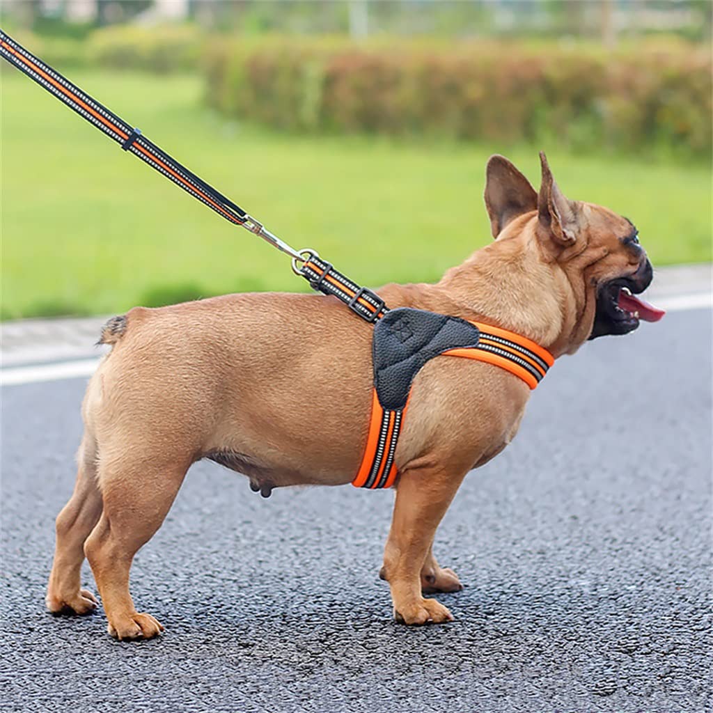 Breathable Nylon Mesh Dog Harness Adjustable Dog Harness and Leash Set Dog Accessories Pet Supplies (C XS)